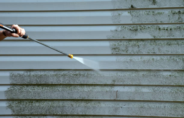 Best Garage Pressure Washing  in Fort Denaud, FL