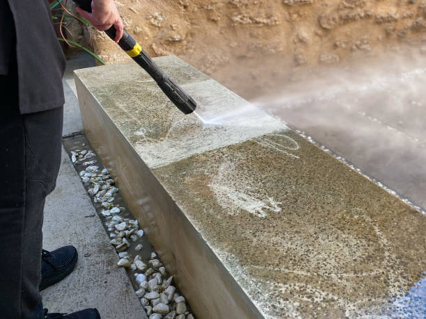 Best Residential Pressure Washing Services  in Fort Denaud, FL