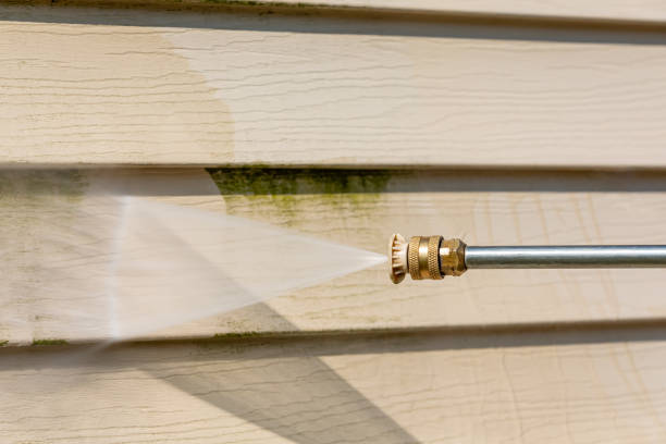Professional Pressure Washing in Fort Denaud, FL